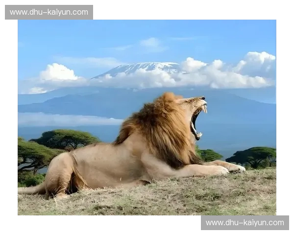 伊斯坦布尔之夜：枪炮与雄狮的宿命对决，历史的回响与未来的序章